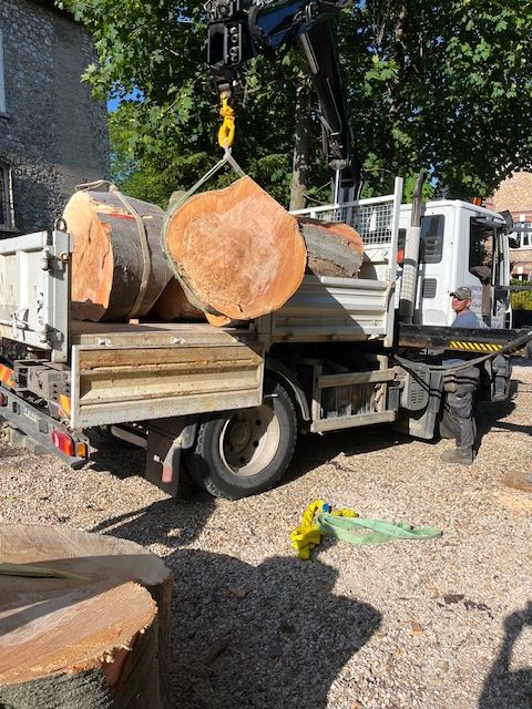 Chargement des morceaux du tronc dans un camion