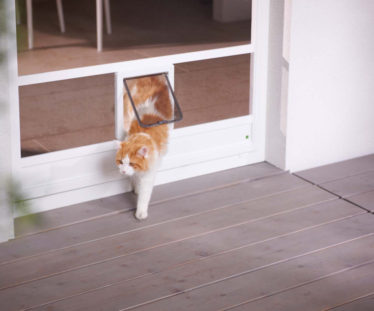 Stores Winter - Claude Voutaz SA