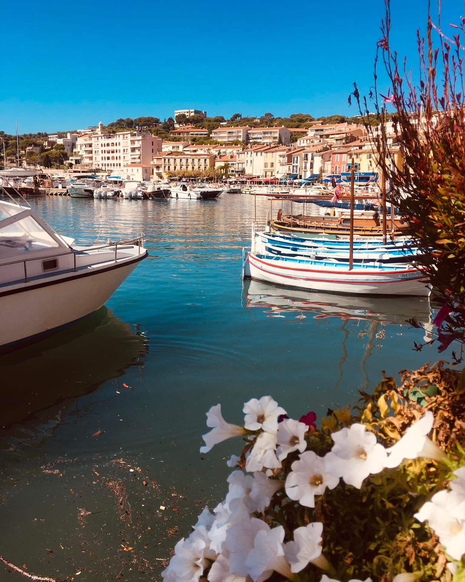 Petit port avec des bateaux sur une eau bleue, des bâtiments en bord de mer et des fleurs blanches au premier plan.
