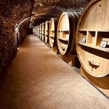 Un cave avec des tonneaux de vins