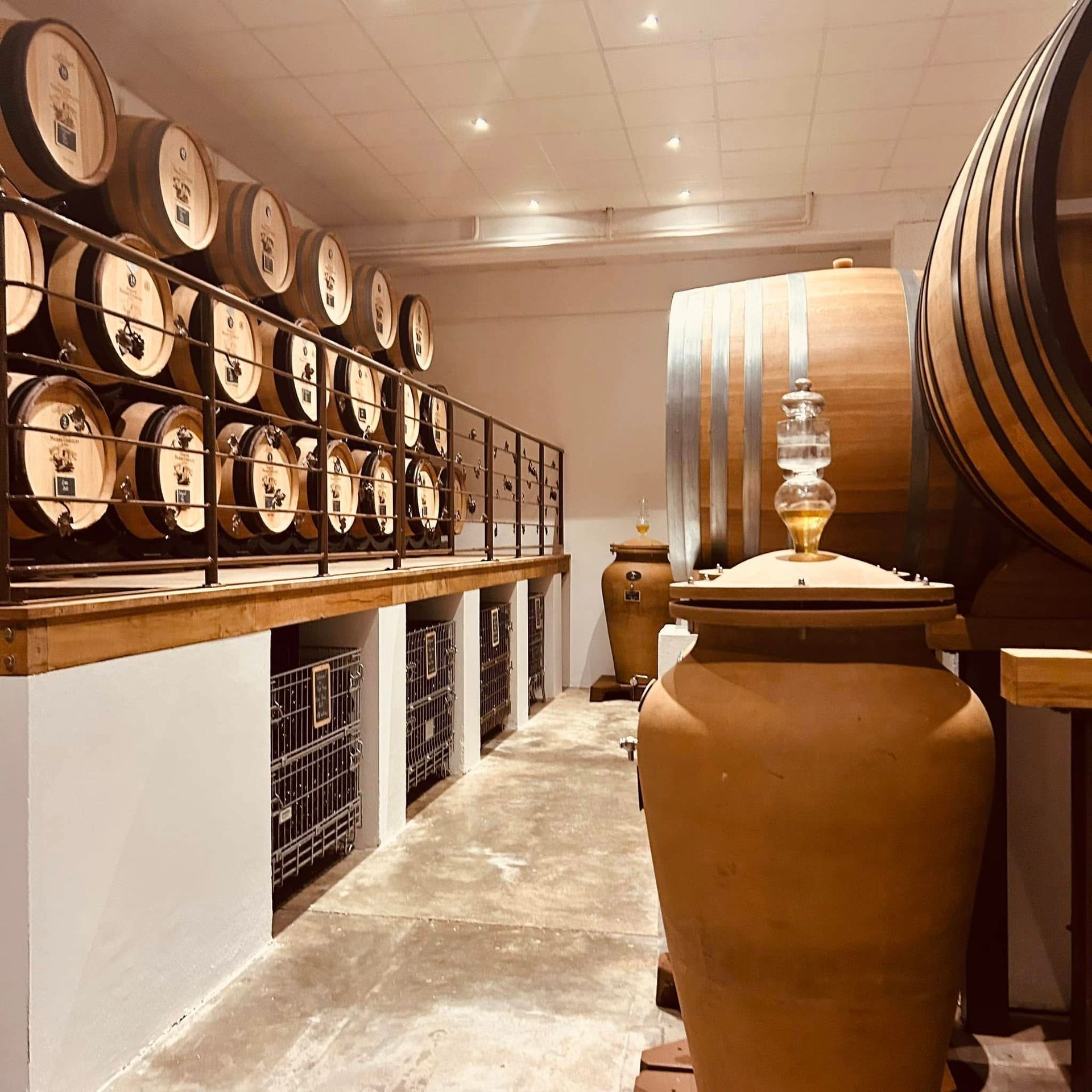 Cave à vin avec des rangées de tonneaux et de grandes jarres de stockage en terre cuite dans une allée étroite.