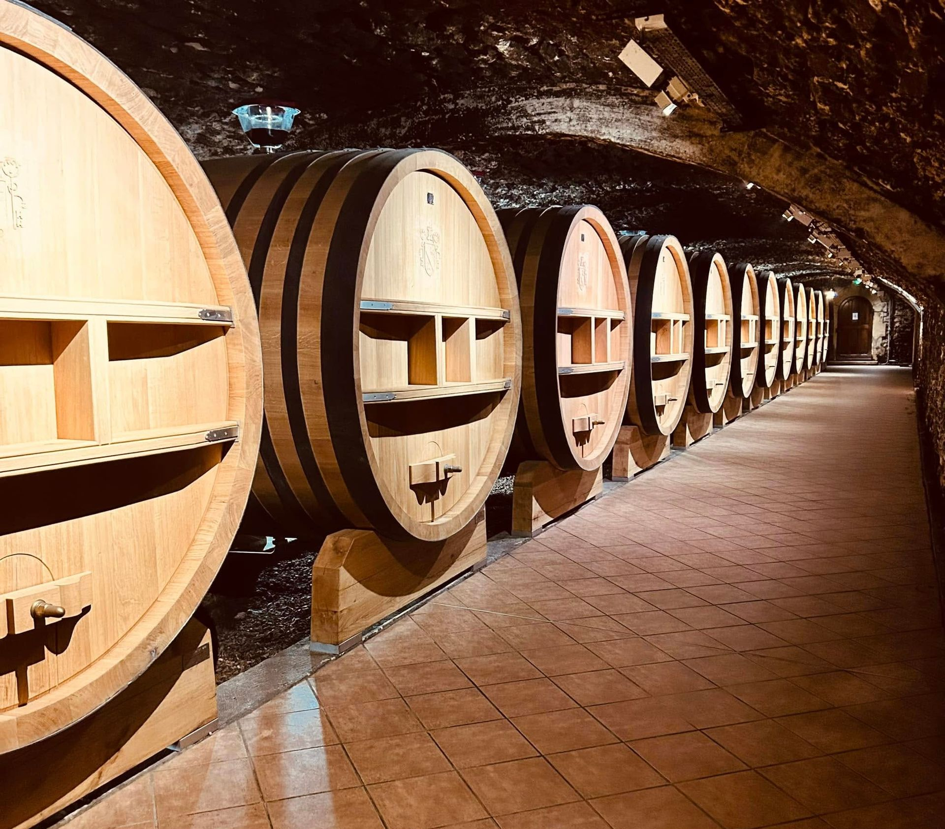 Rangée de tonneaux de vin en bois dans une cave troglodyte au sol carrelé et au plafond voûté