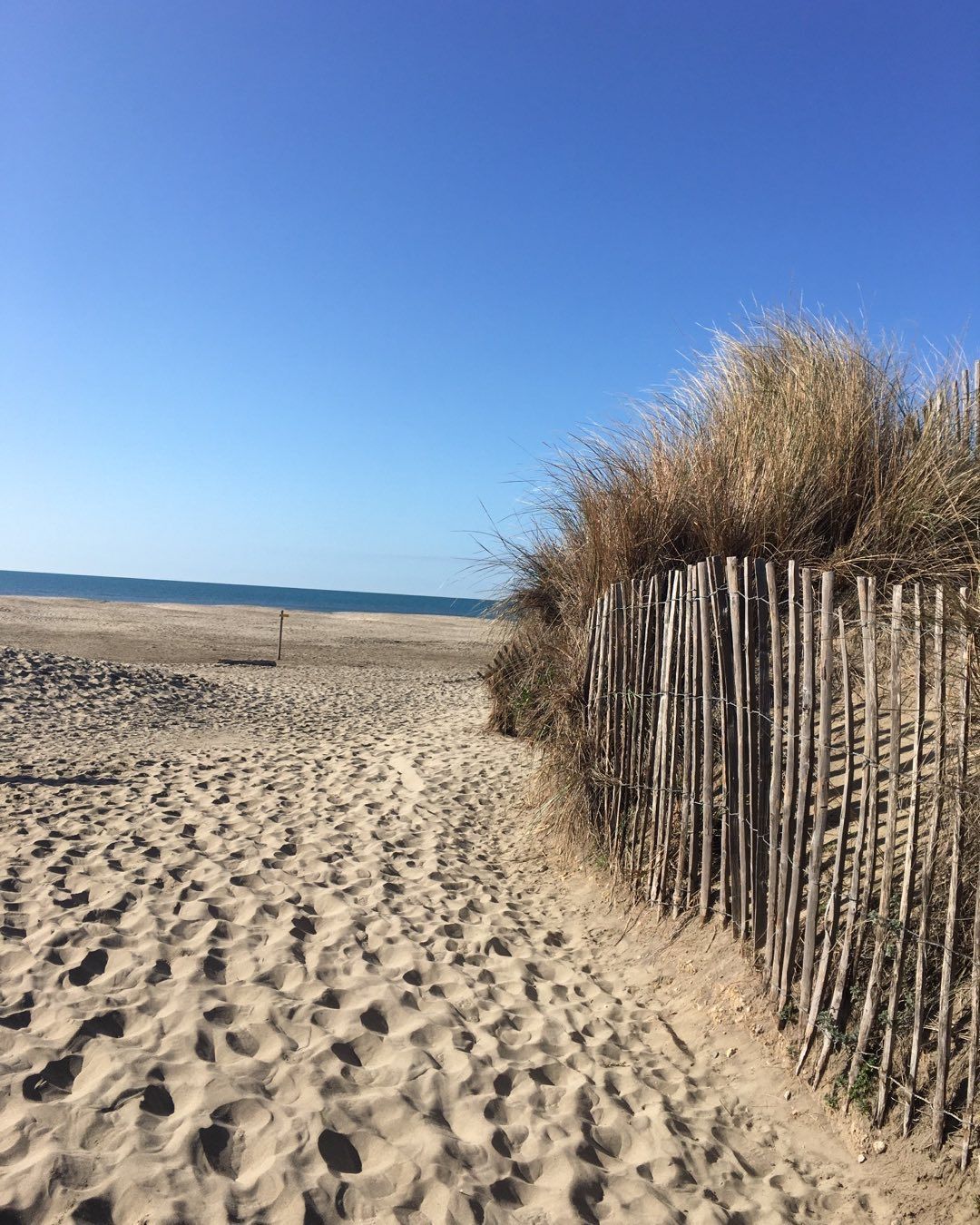 Sentier de plage longeant une dune, avec des herbes sèches et un océan.