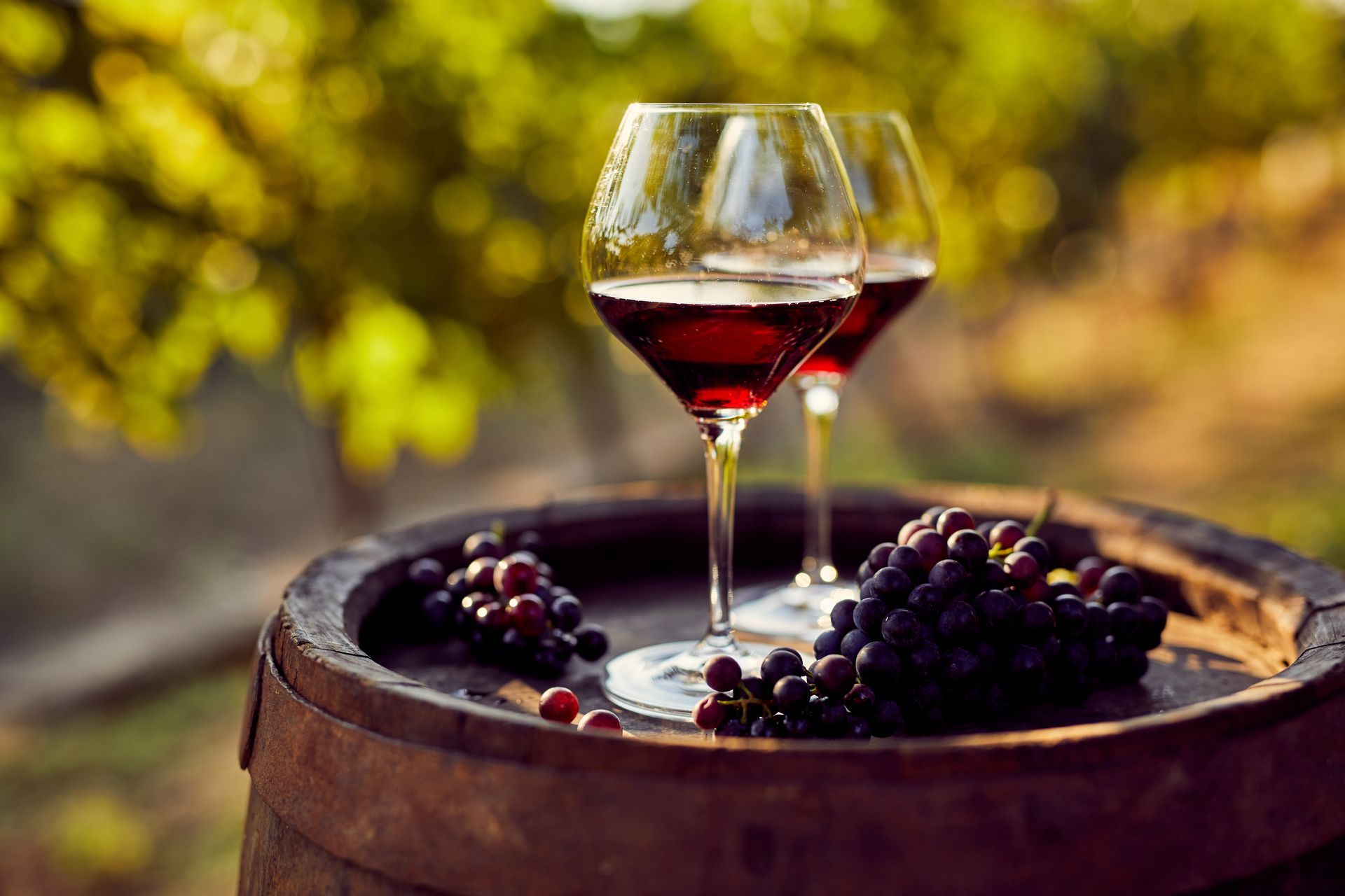 Rangée de tonneaux de vin en bois dans une cave souterraine avec un chemin carrelé.