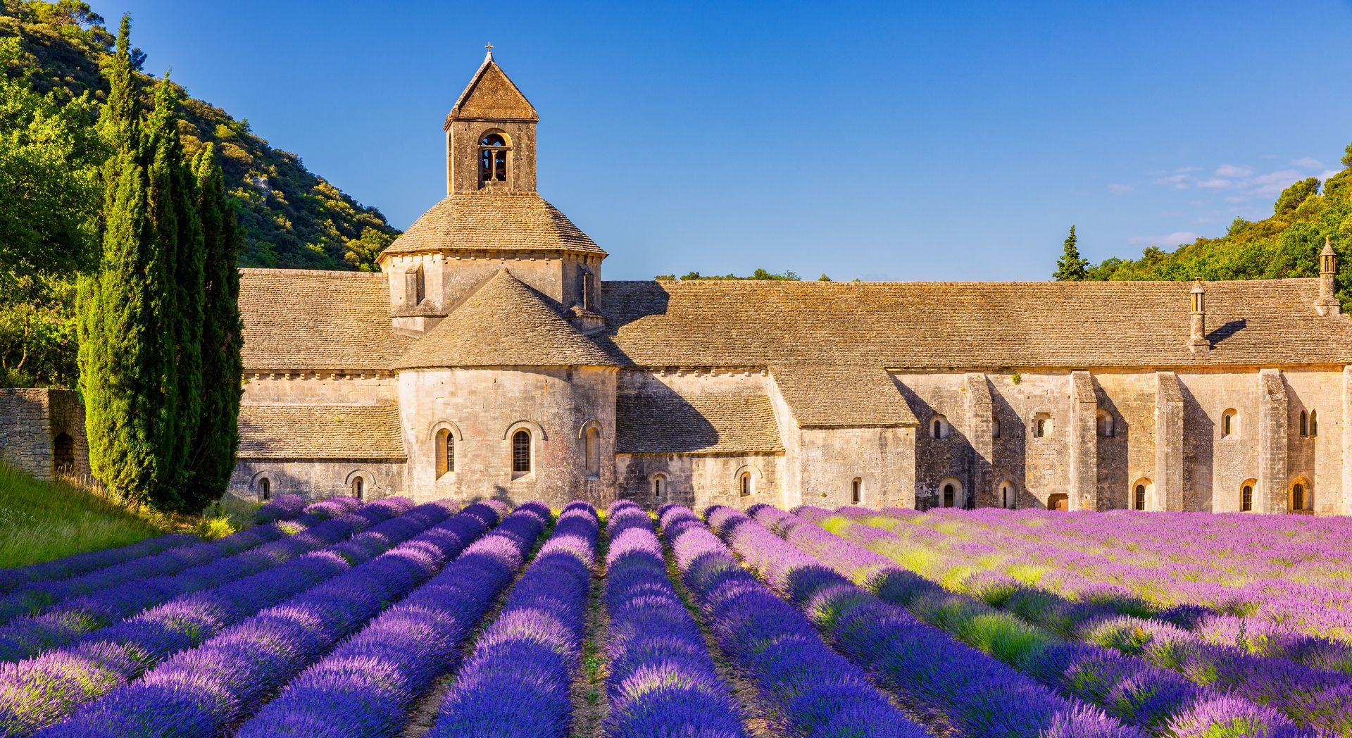Abbaye Notre-Dame de Sénanque