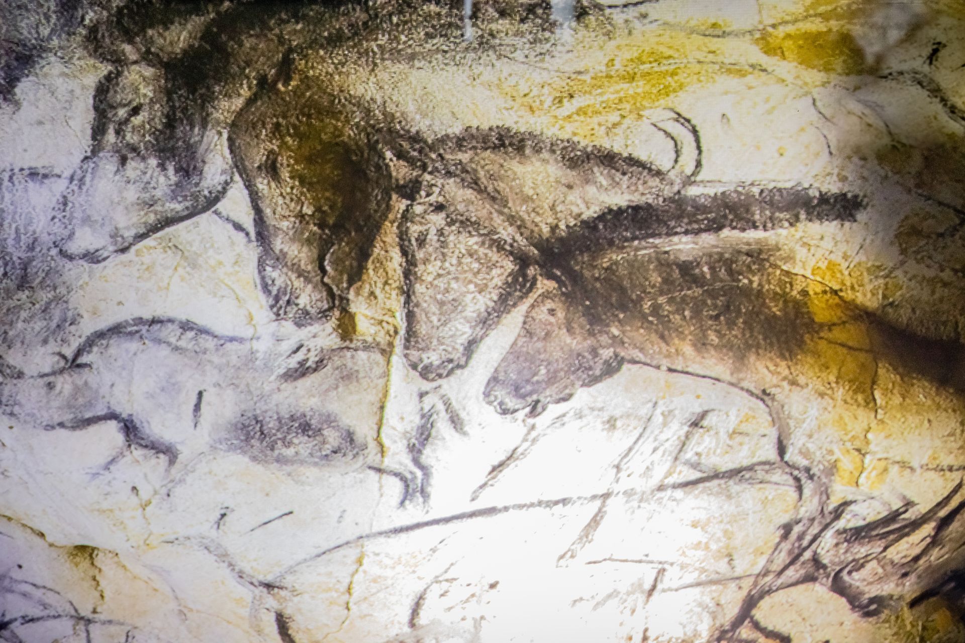 Peinture ancienne représentant des animaux sur une paroi rocheuse.