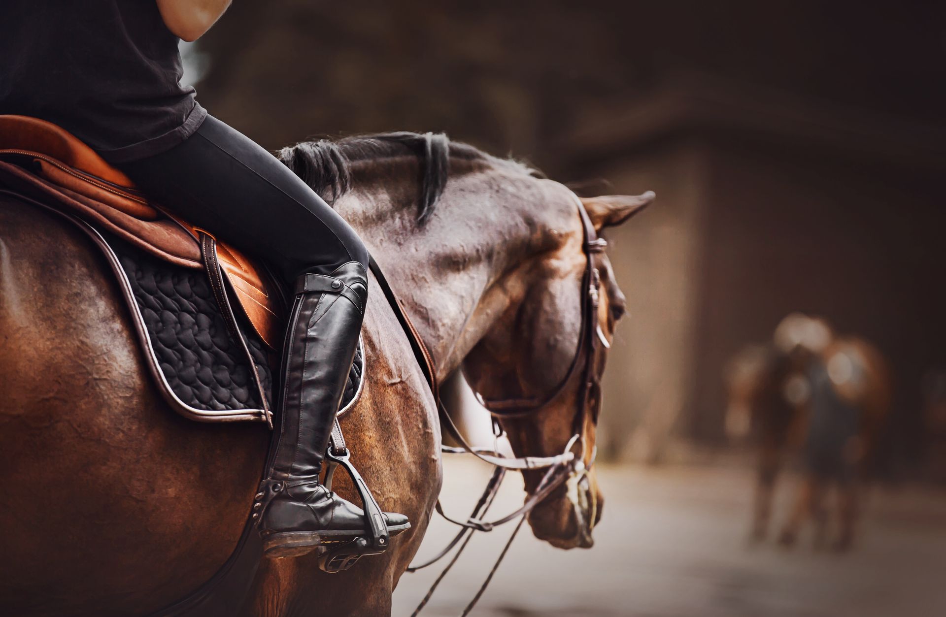Une femme monte un cheval brun dans une écurie.