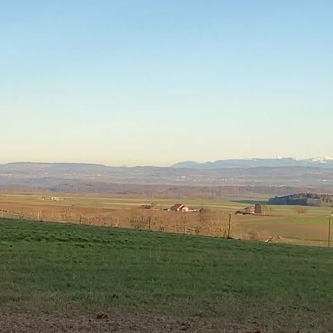 Un grand champ herbeux avec une maison au loin et des montagnes en arrière-plan.
