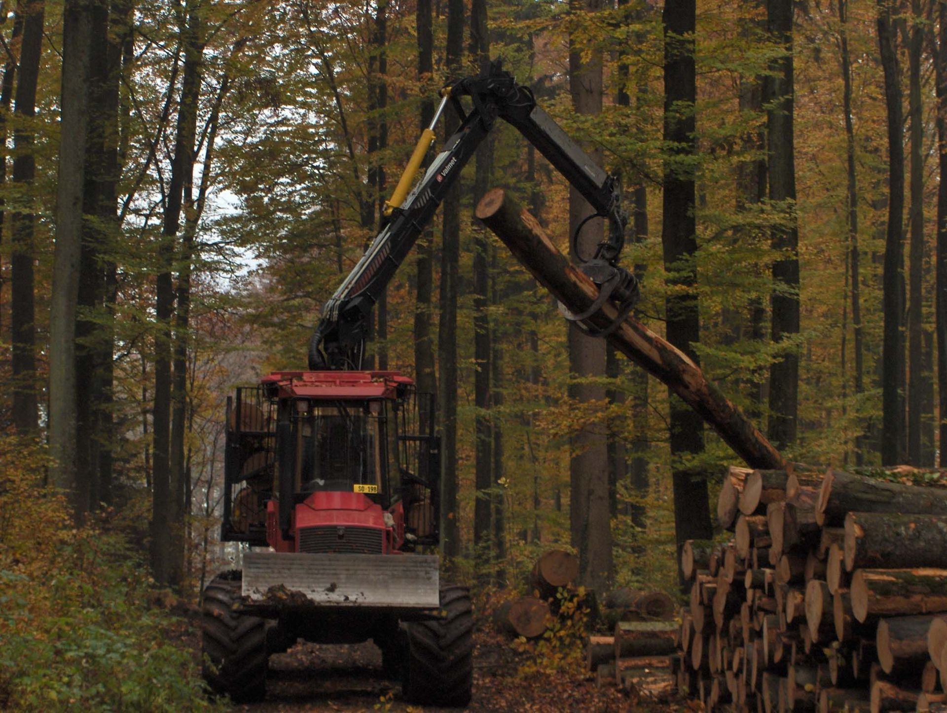 Entreprise forestière à Gimel - Dubugnon SA