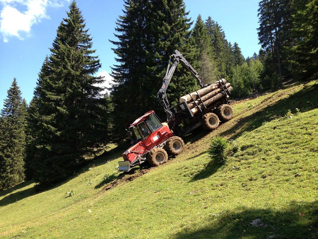 Entreprise forestière à Gimel - Dubugnon SA