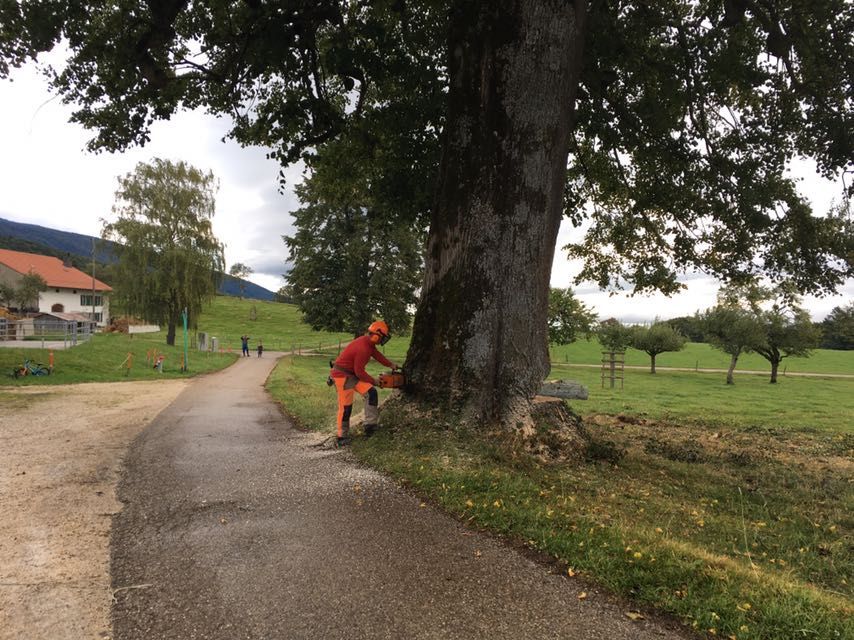 Entreprise forestière à Gimel - Dubugnon SA