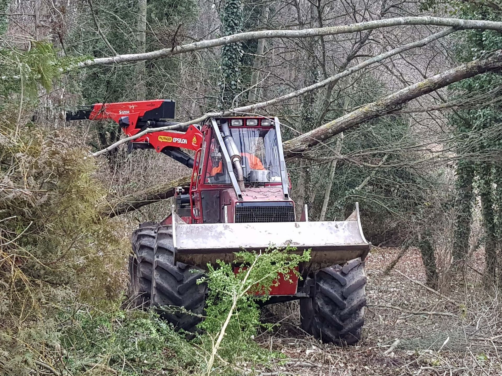 Entreprise forestière à Gimel - Dubugnon SA