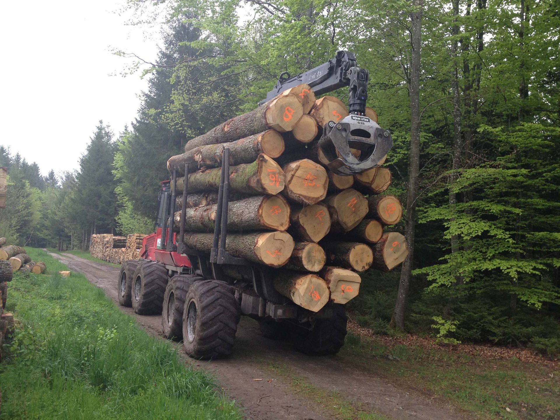 Entreprise forestière à Gimel - Dubugnon SA