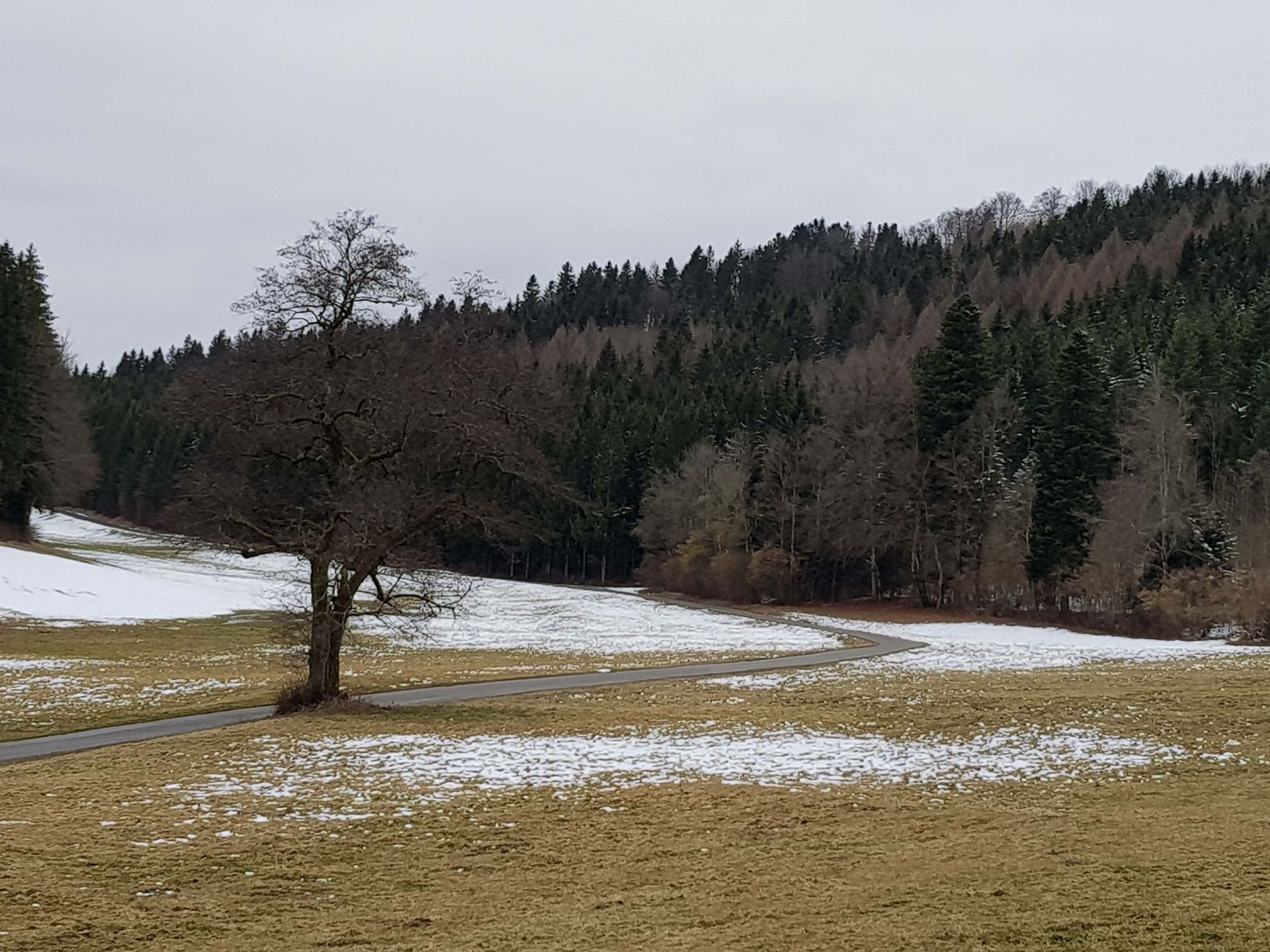 Entreprise forestière à Gimel - Dubugnon SA