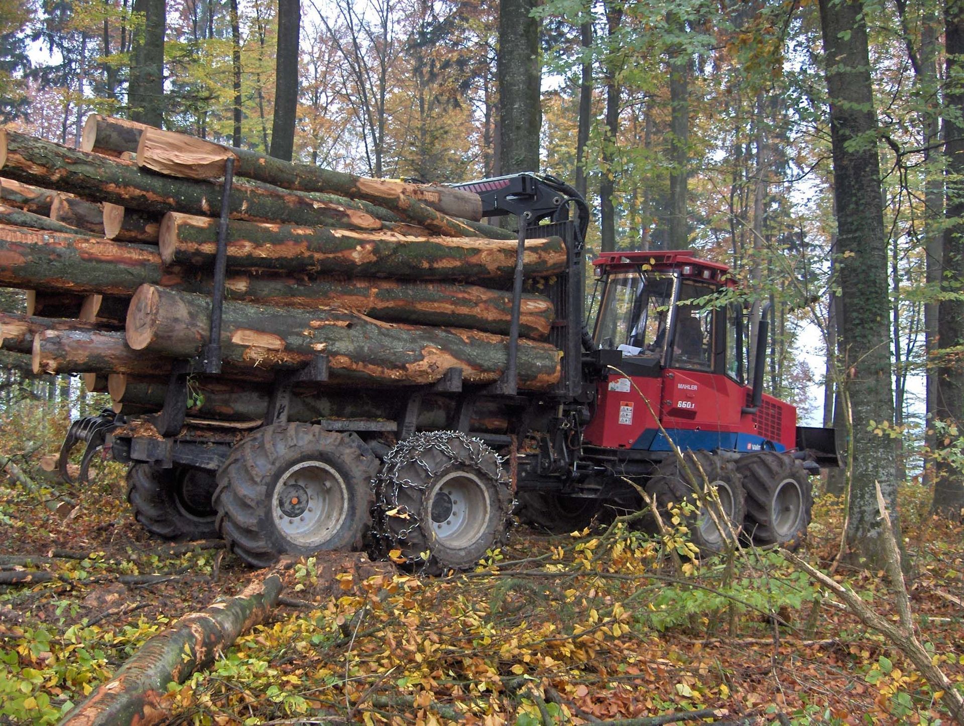 Entreprise forestière à Gimel - Dubugnon SA