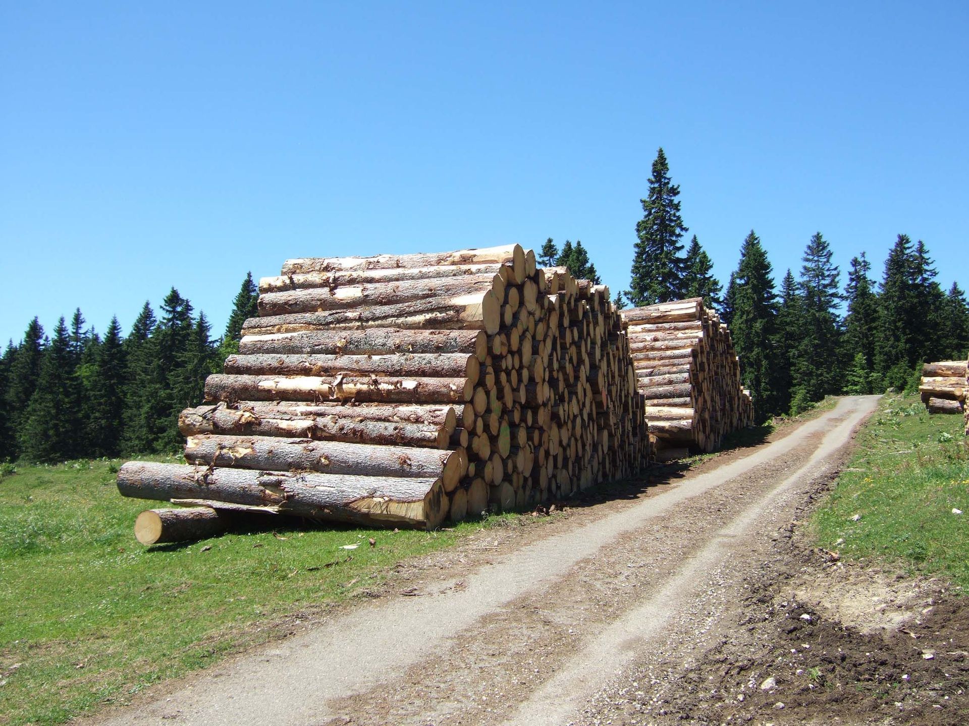 Entreprise forestière à Gimel - Dubugnon SA