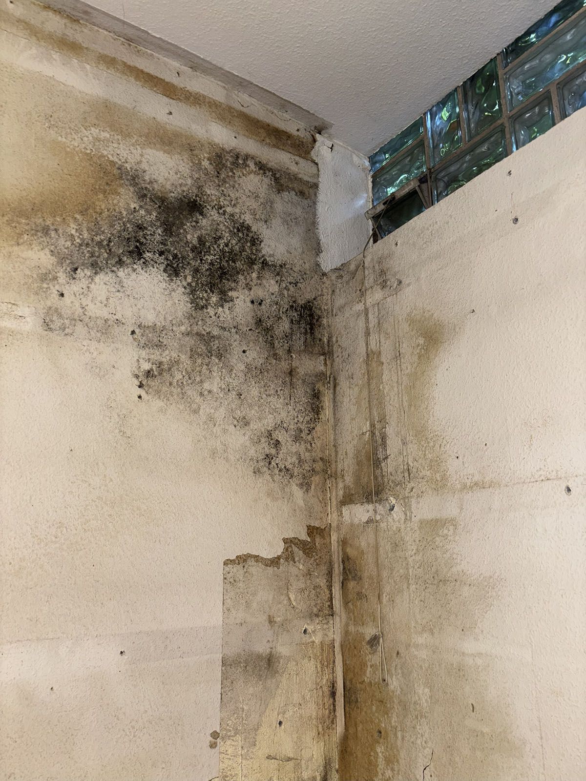Schimmelbildung an einer Innenwand und einer Deckenecke in der Nähe eines kleinen Fensters, was auf einen Wasserschaden hindeutet.