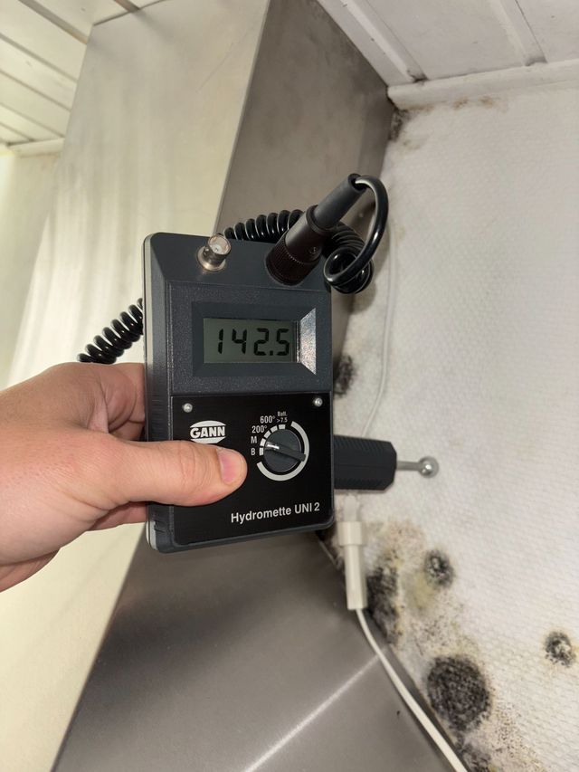 Eine Person hält ein Feuchtigkeitsmessgerät an eine mit Schimmel befallene Oberfläche. Das Messgerät zeigt 142,5 an.