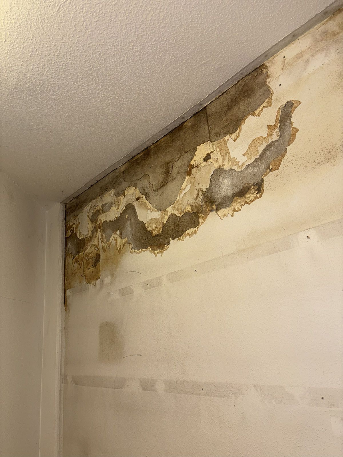 Wasserschaden an Innenwand und Decke. Braune Flecken und abblätternde Farbe in einer Zimmerecke.