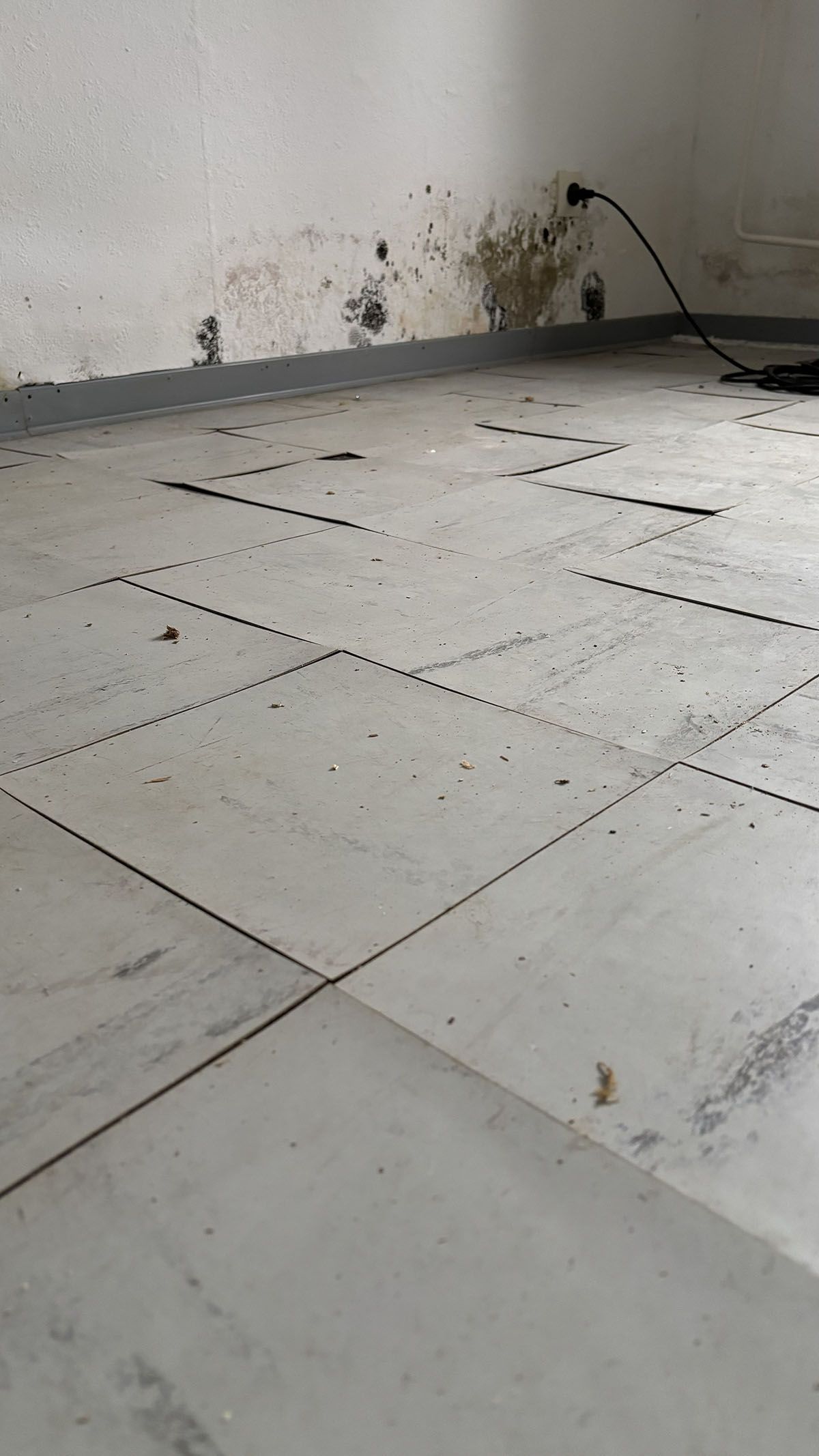Betonboden mit gepunkteten Linien, in der Nähe einer Wand mit Schimmel. Steckdose sichtbar.