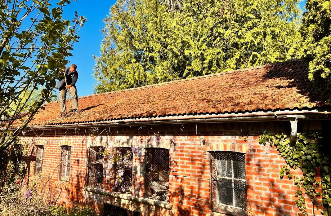 Toiture avant nettoyage.