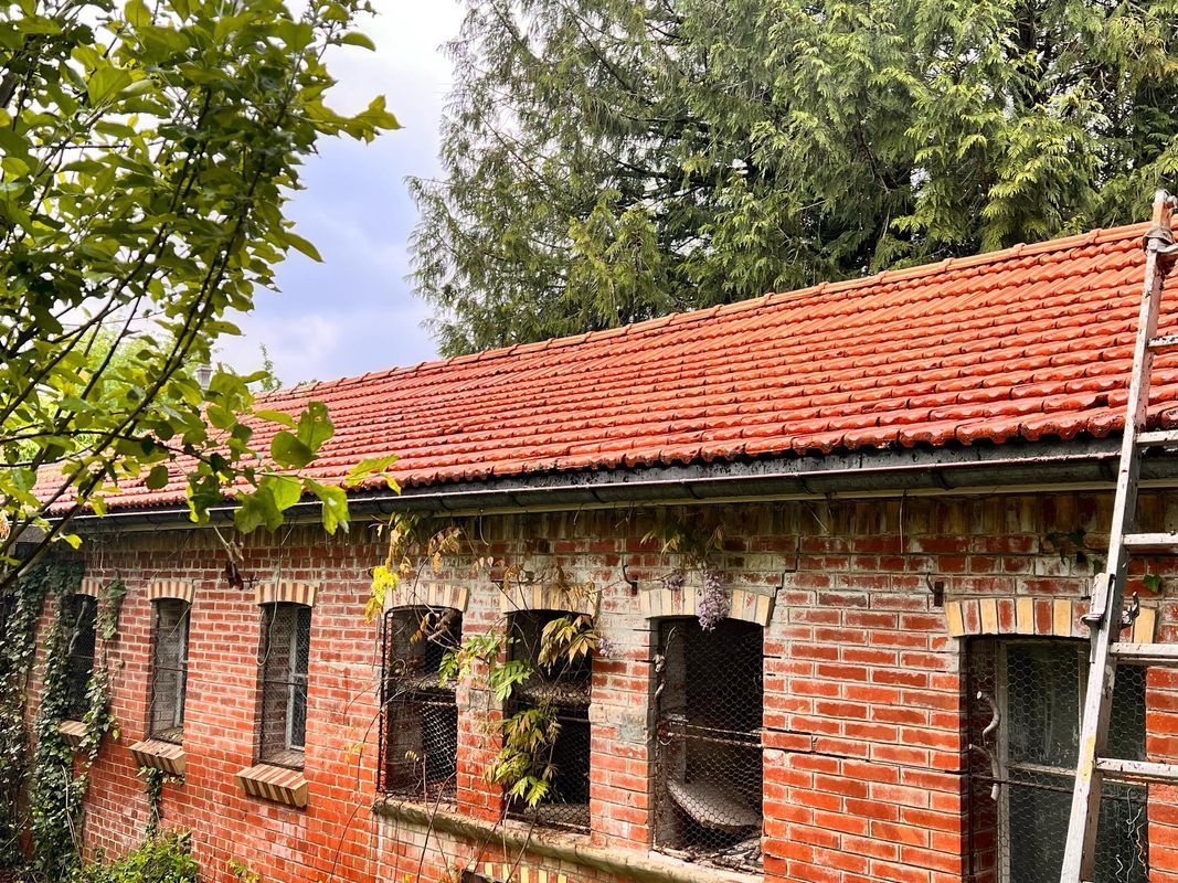 Toiture après nettoyage.