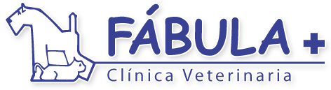 logotipo cabecera
