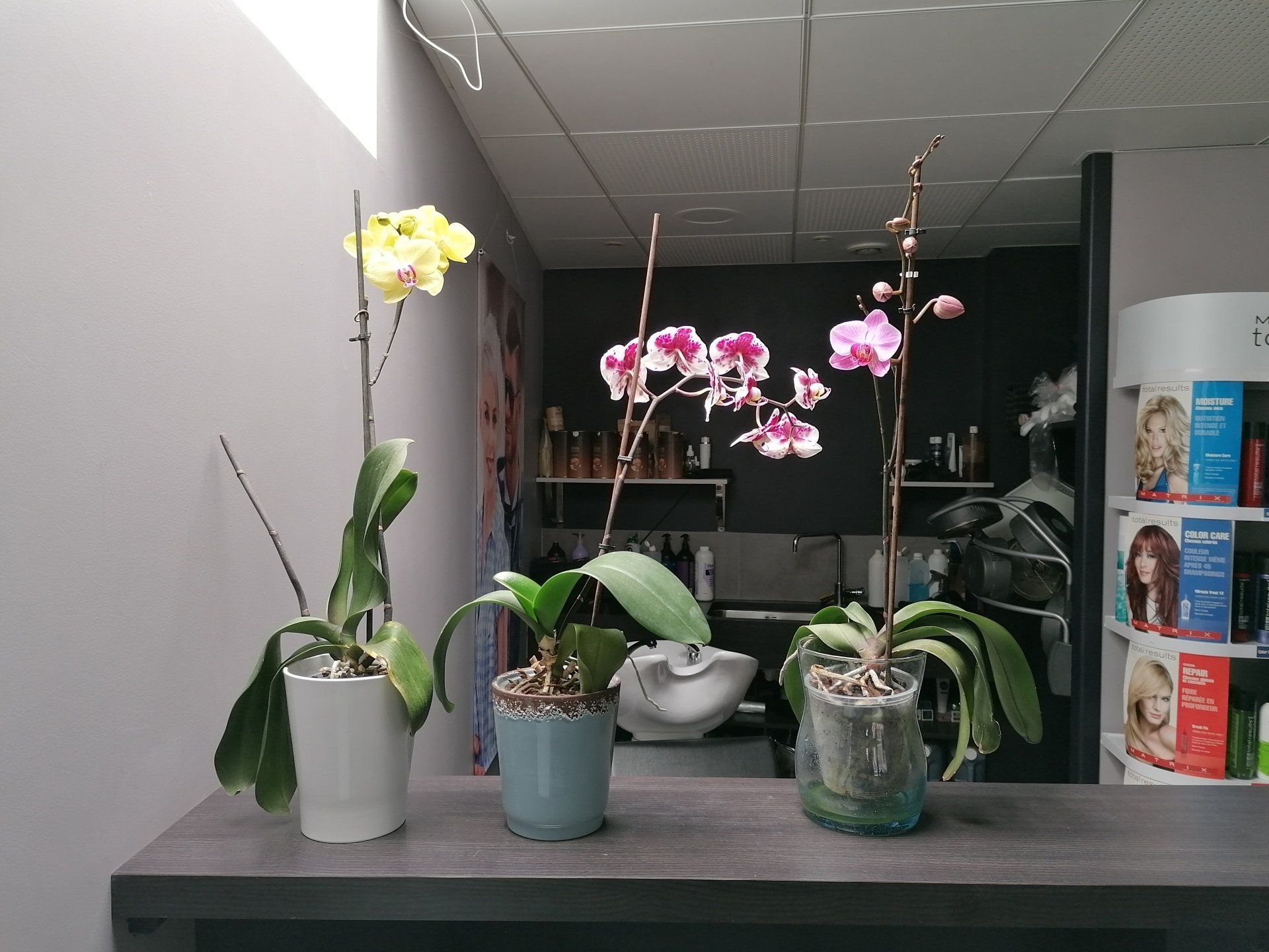 Décoration du salon