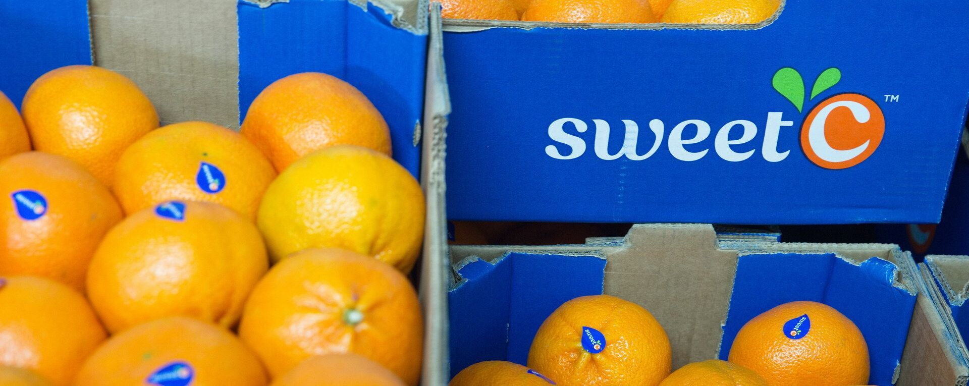 Cagettes de mandarines Sweet C empilées avec mandarines en vrac