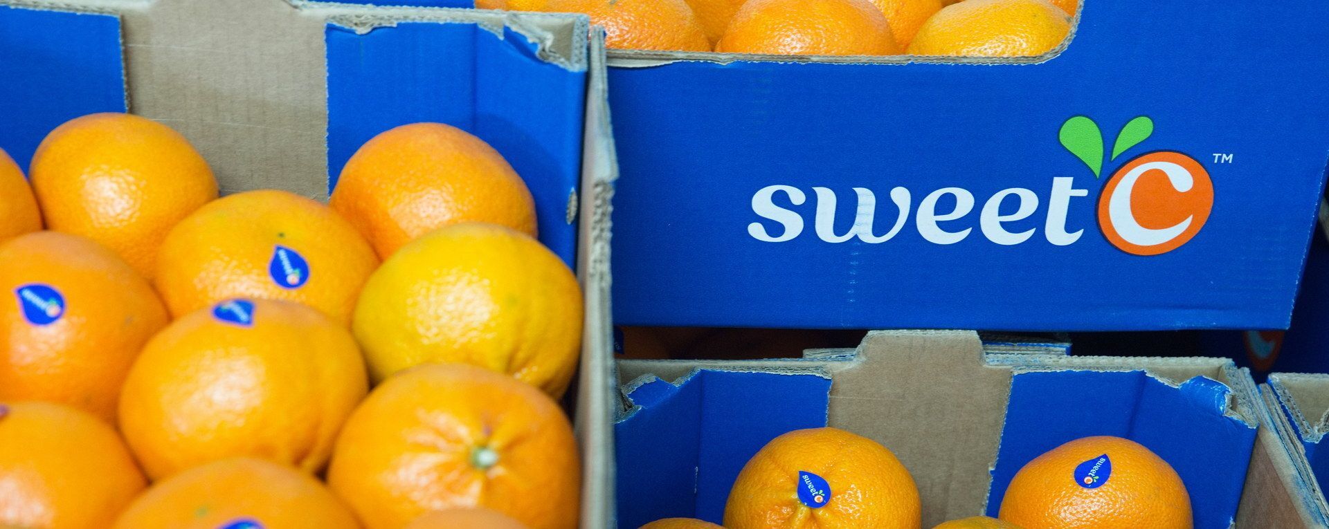 Carton de mandarines Sweet C