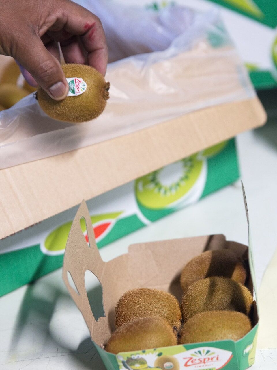 Barquette de kiwis