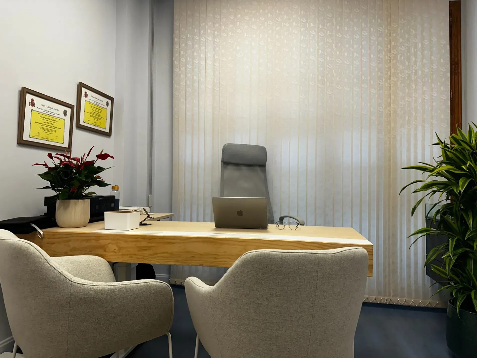 Interior de oficina con escritorio de madera, dos sillones, computadora portátil y plantas en macetas.