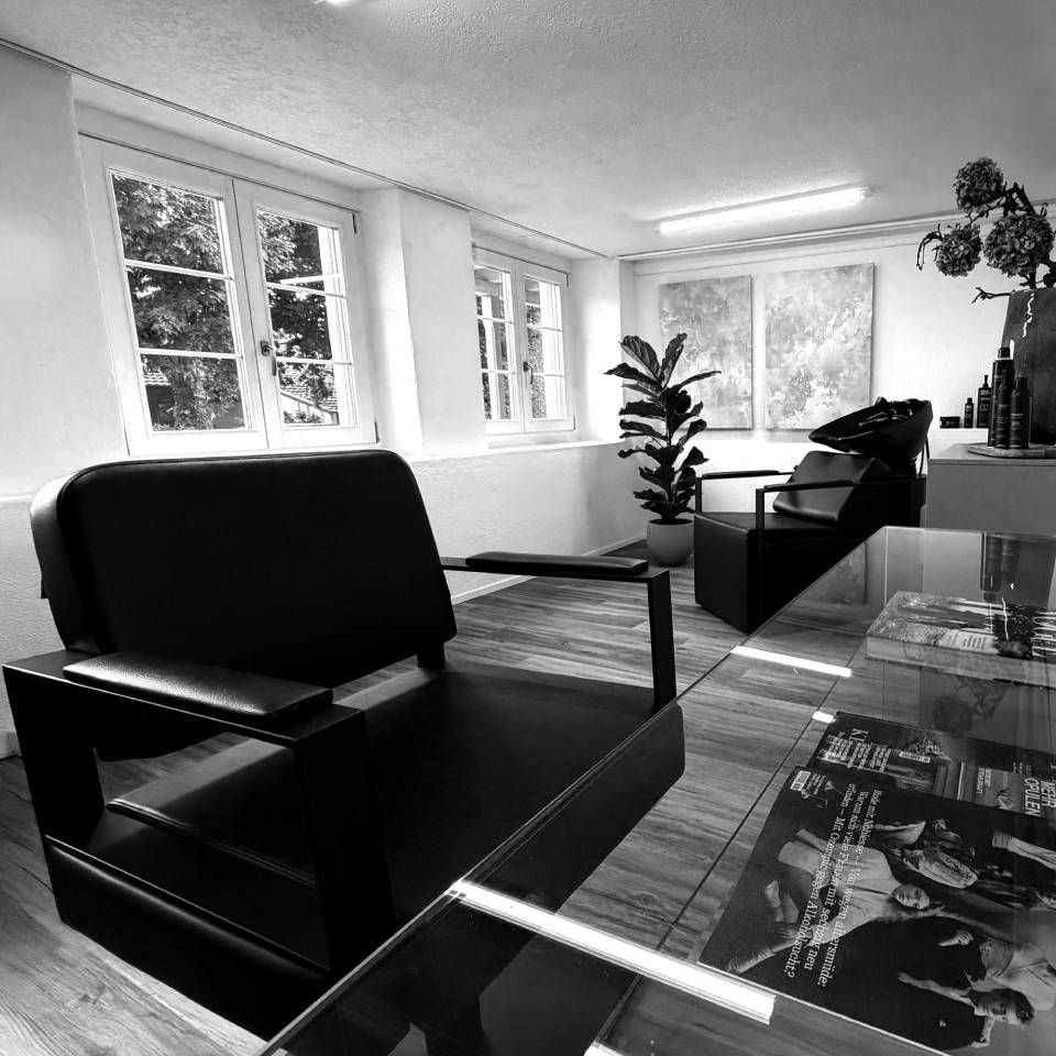 Modernes Wohnzimmer mit schwarzen Sesseln, Glastisch, Topfpflanze und grossen Fenstern in Schwarz-Weiss