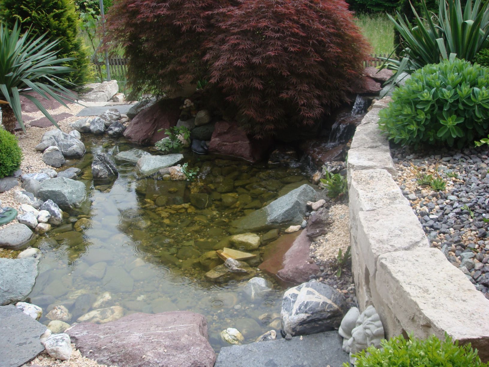 BIOTOPE | Dübendorf