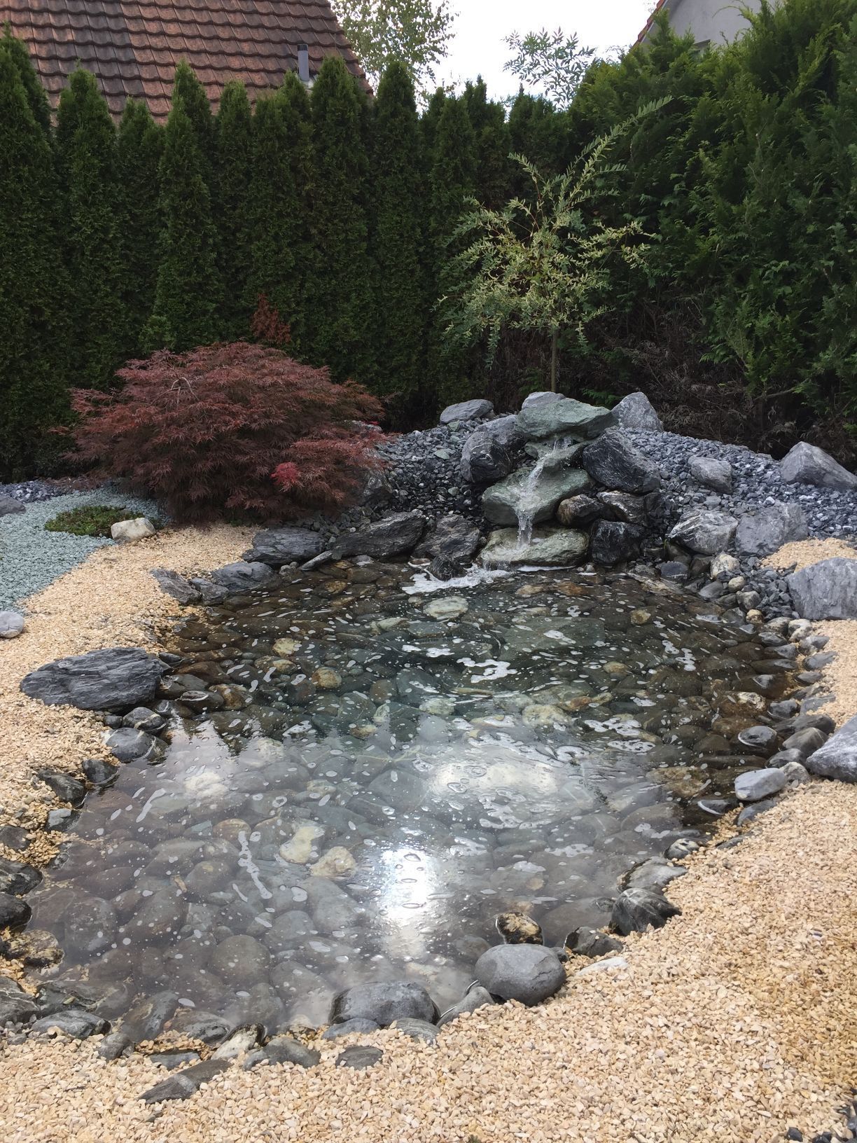 BIOTOPE | Dübendorf