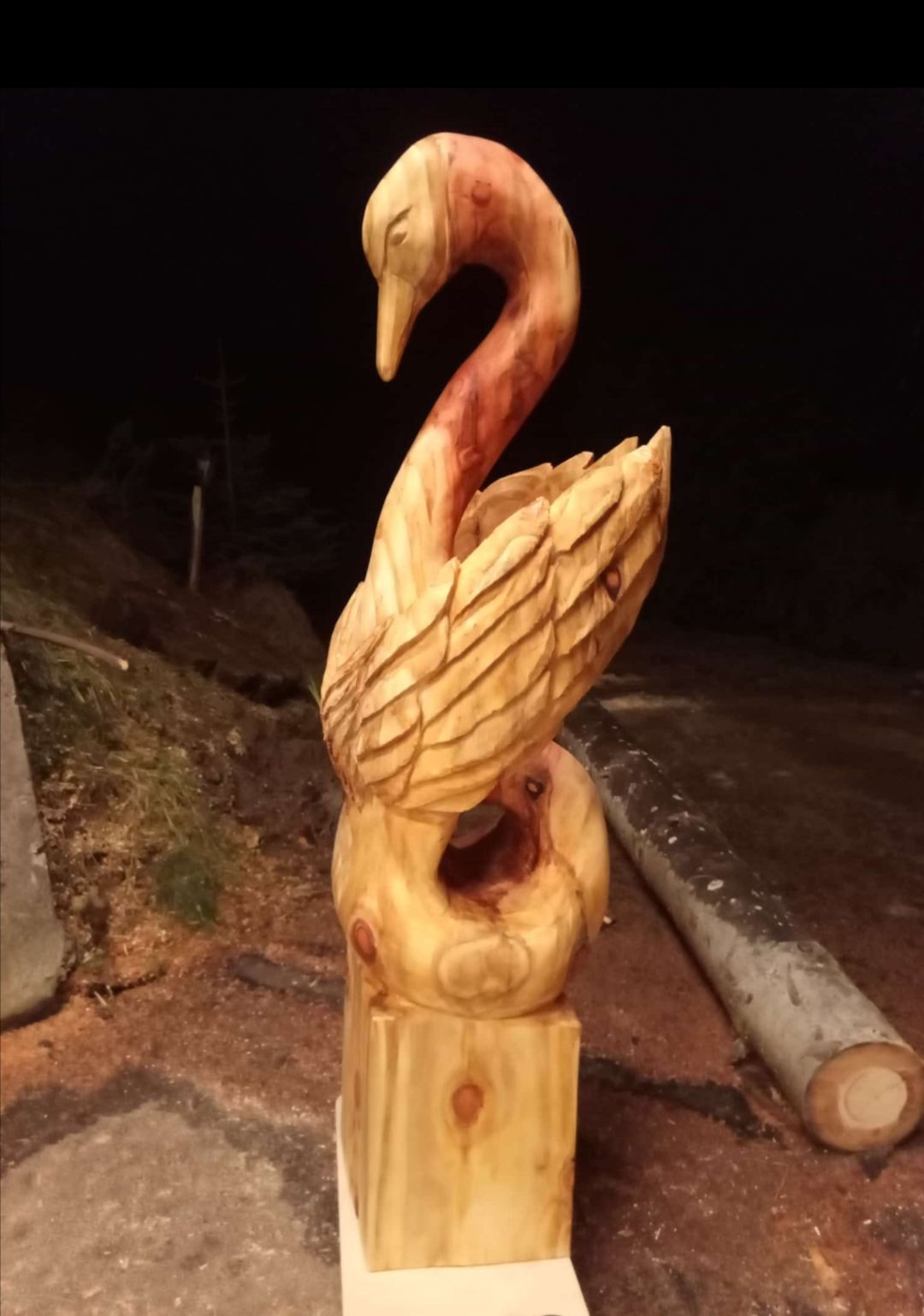 Schwan