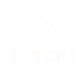 Logotipo blanco con forma de techo triangular encima de la palabra "SERVIZONA".