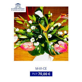 Arreglo floral con ave del paraíso, calas y anturios. Precio: 70,00 €.