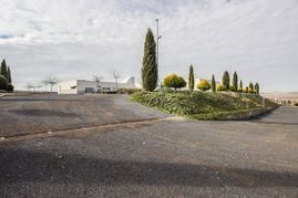 Un camino con árboles a los lados y un edificio al fondo.