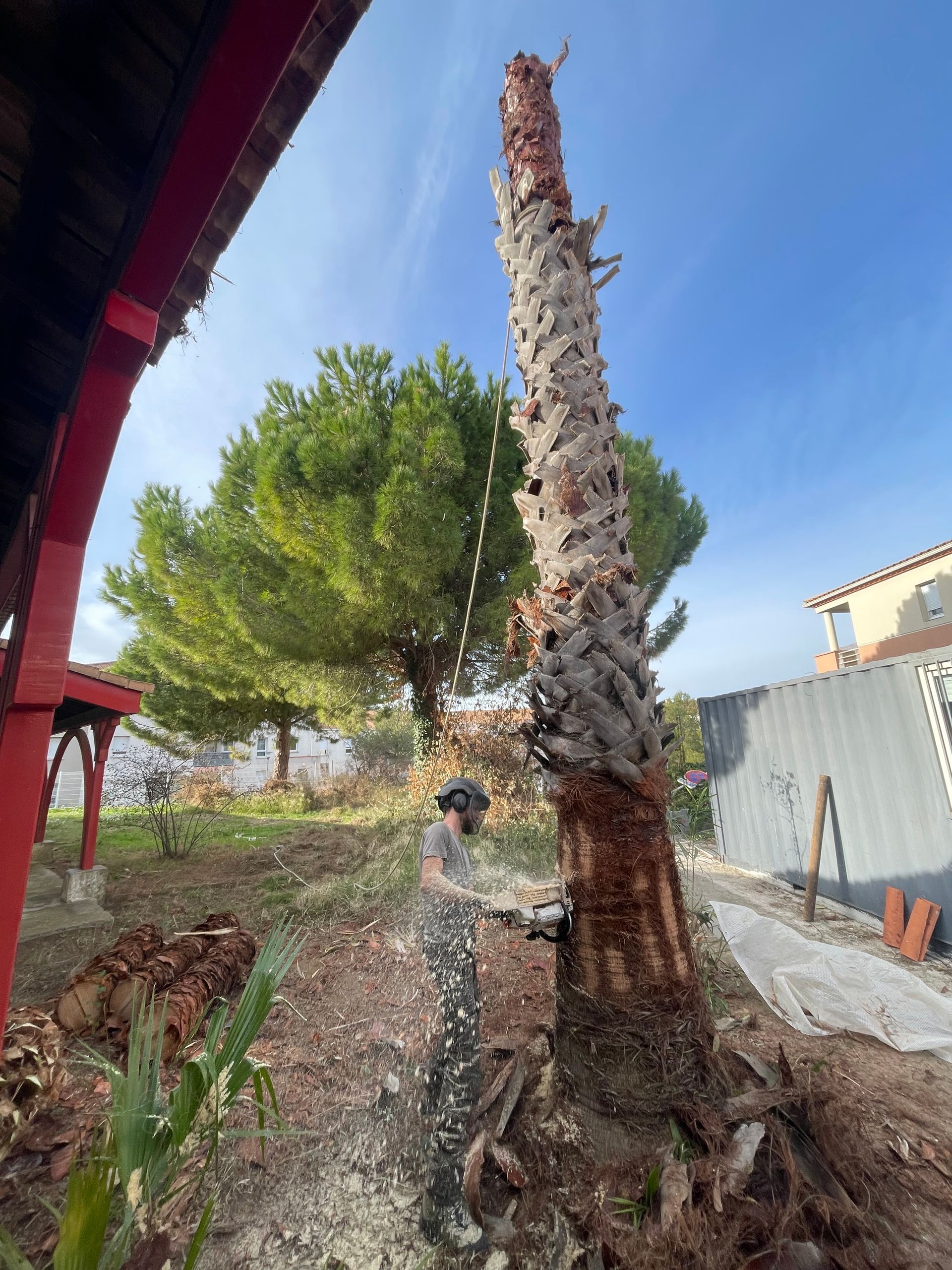 Photo de travaux d'abattage d'un arbre