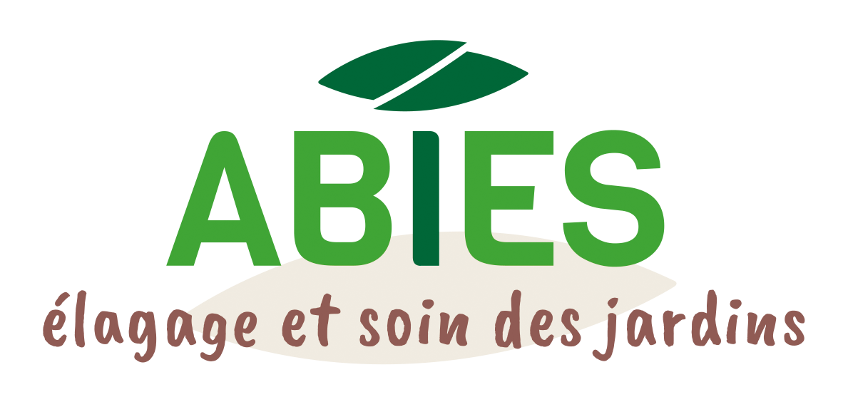 Logo ABIES