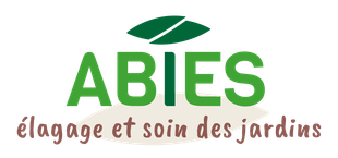 Logo ABIES
