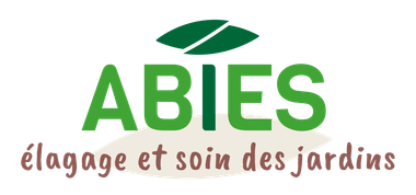 Logo ABIES