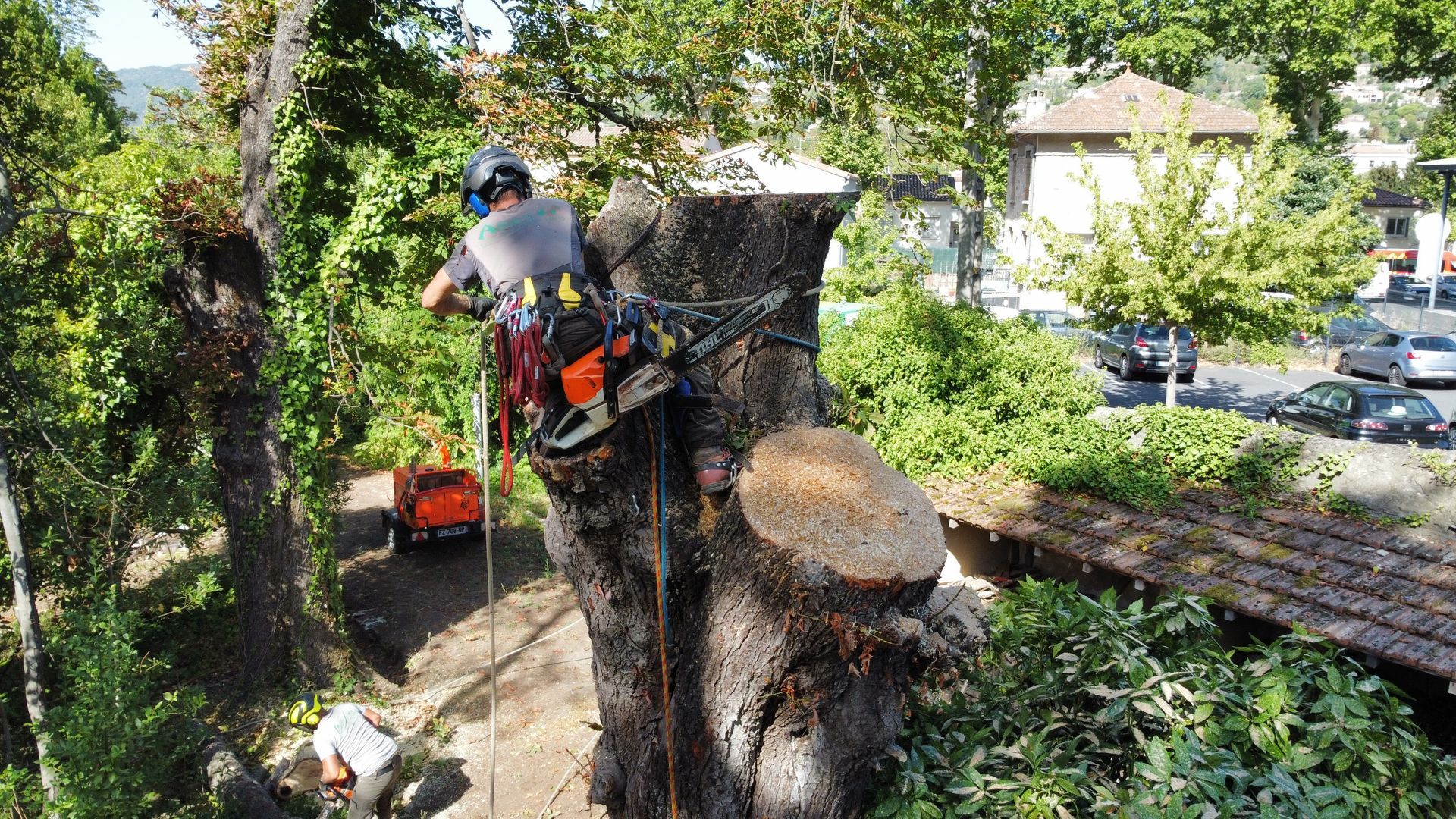 Photo d'un élagueur-grimpeur