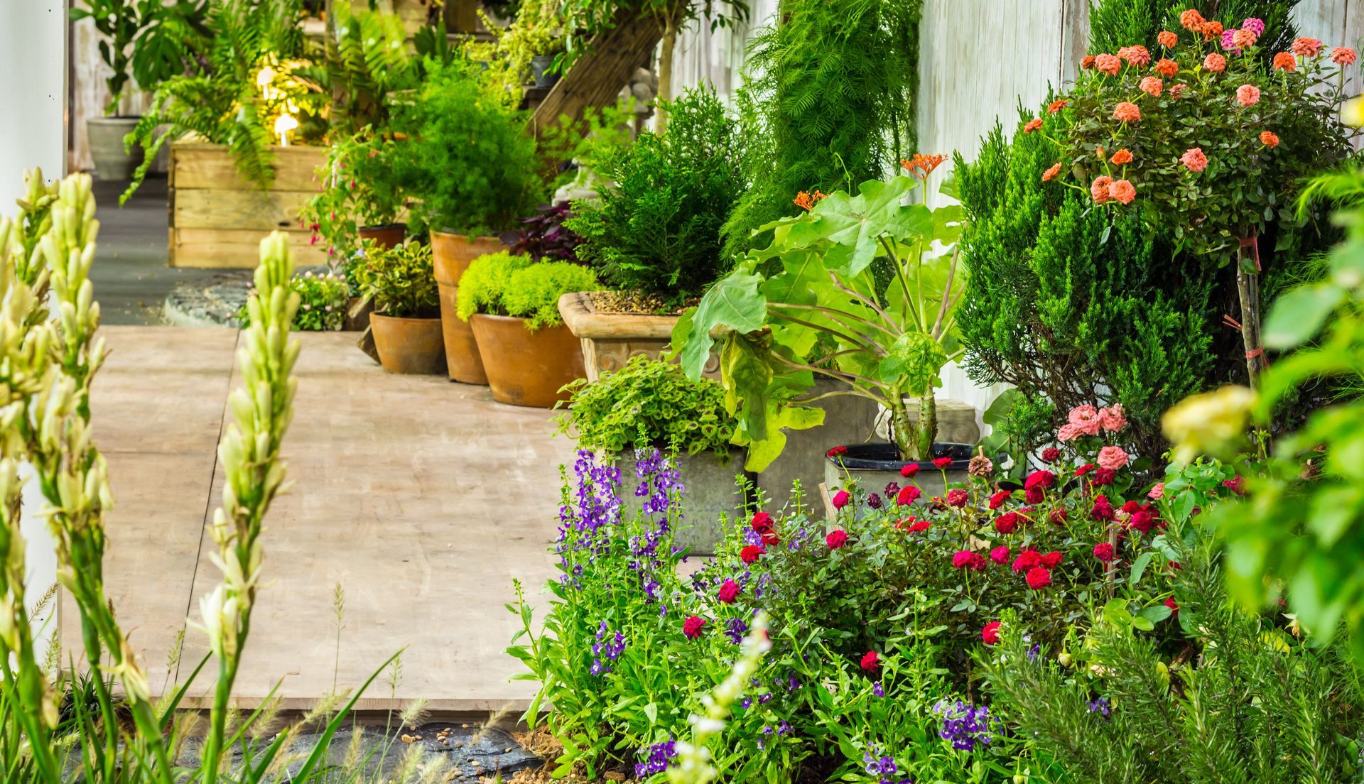 Allée de jardin luxuriante avec des fleurs colorées, des plantes en pot et de la verdure le long d'un chemin de pierre