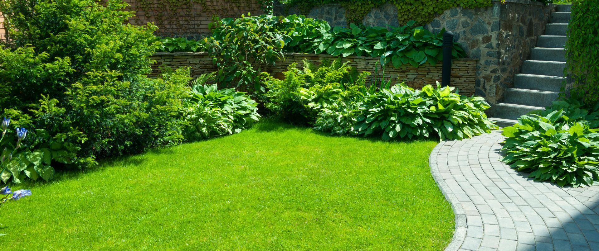Jardin verdoyant luxuriant avec pelouse, arbustes, chemin de pierre sinueux et marches montantes