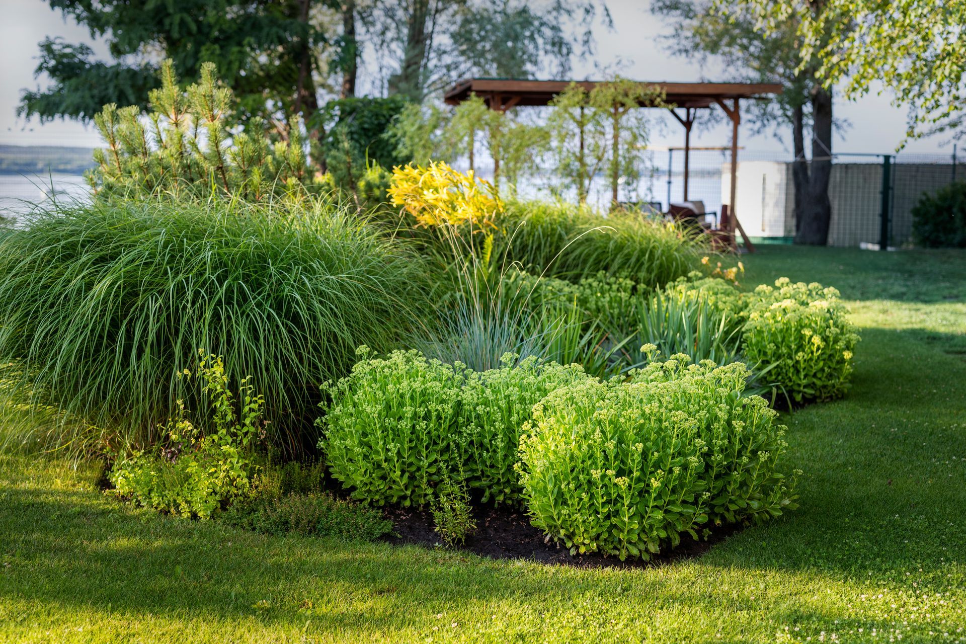 Jardin paysager verdoyant avec arbustes, fleurs jaunes et un petit kiosque près de l'eau