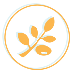 Icône de feuille et de branche orange à l'intérieur d'une fine bordure circulaire sur fond blanc