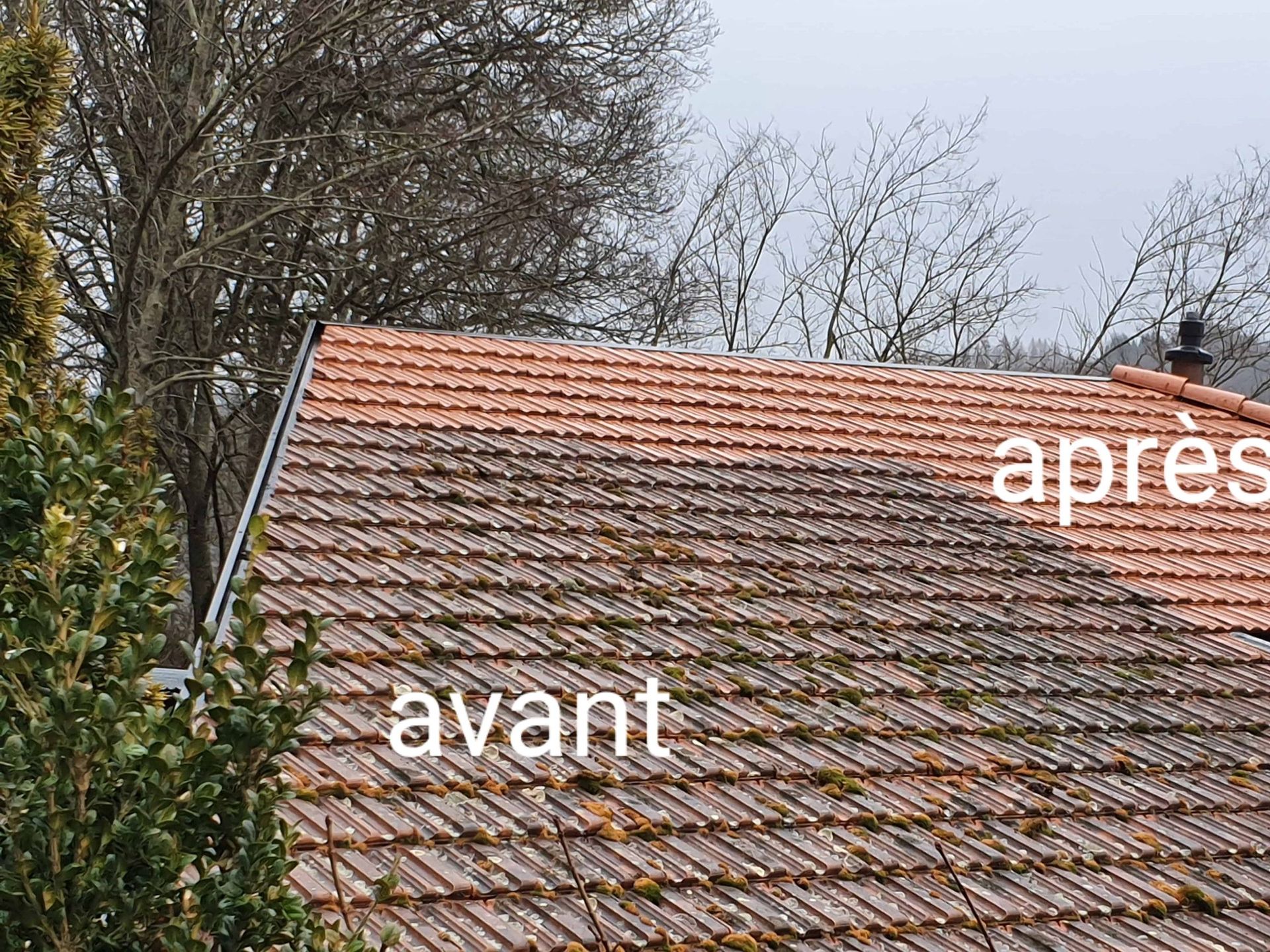 Démoussage de toit - DémousseToit