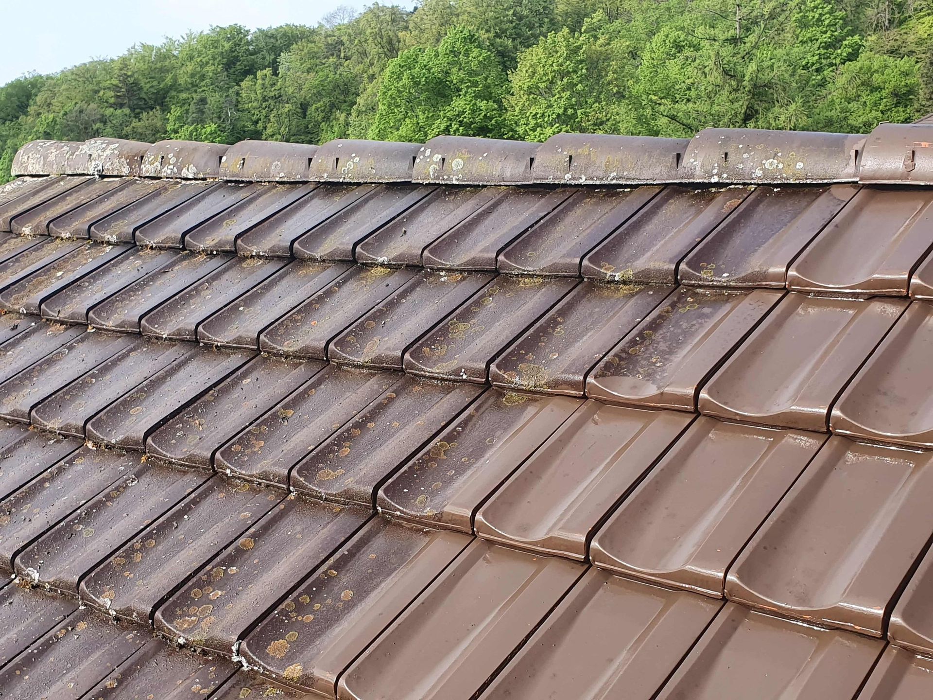 Démoussage de toit - DémousseToit